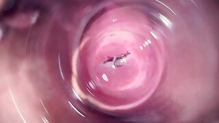 Inside Mia’s vagina, internal camera in teen pussy